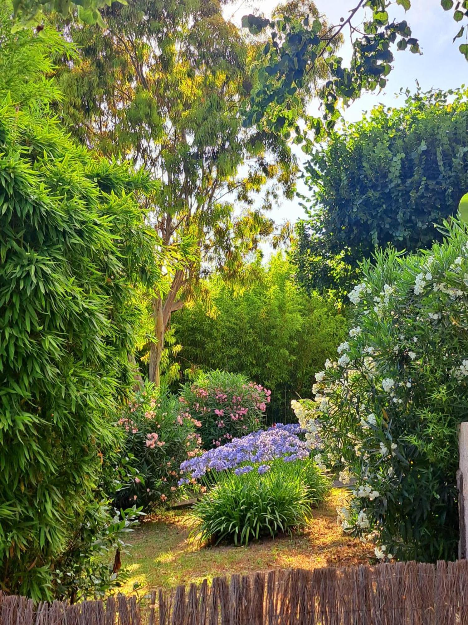 Bed and breakfast Bastide De Marie Grasse Extérieur photo