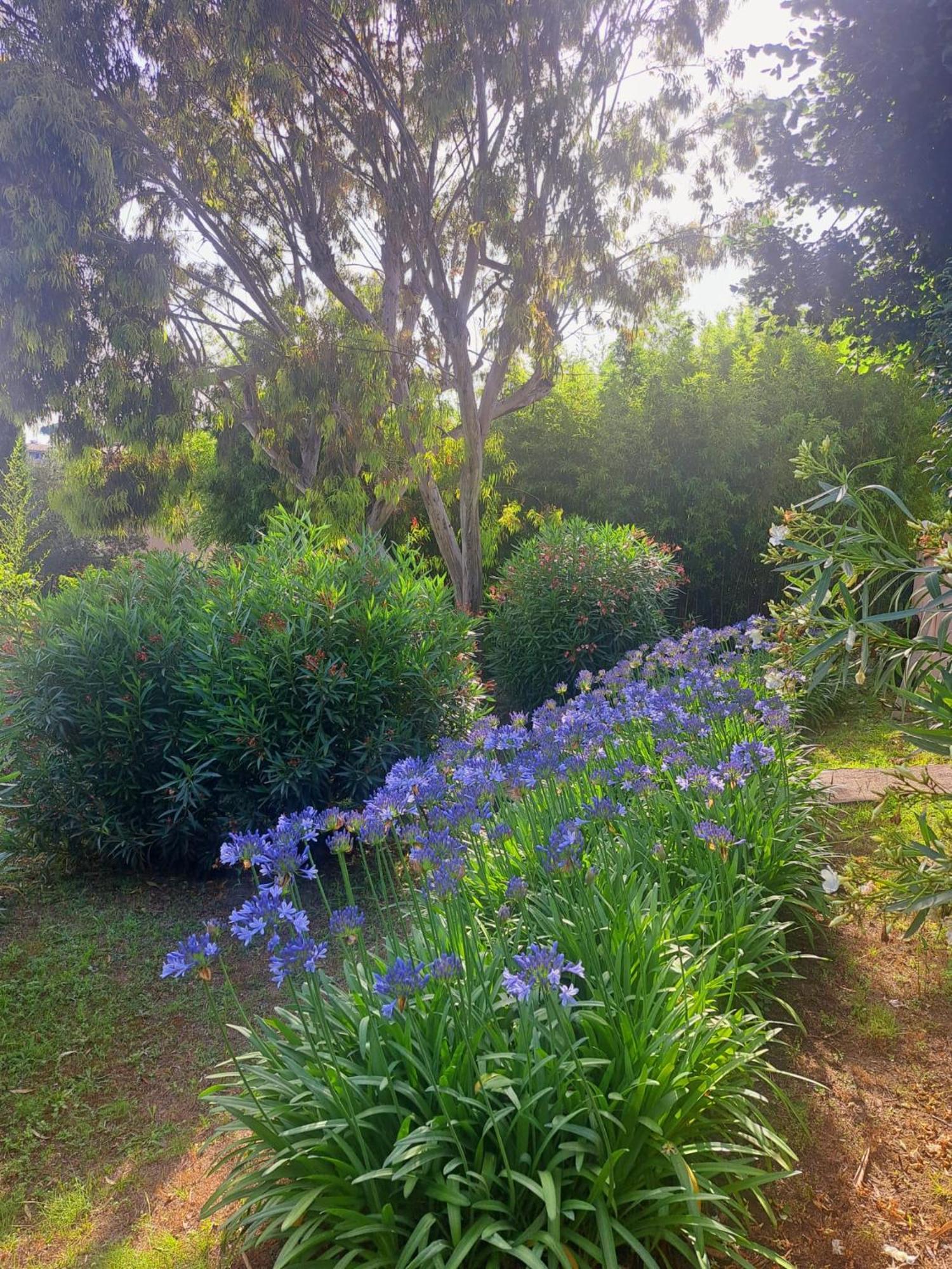 Bed and breakfast Bastide De Marie Grasse Extérieur photo